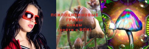 не бодяженный Нязепетровск