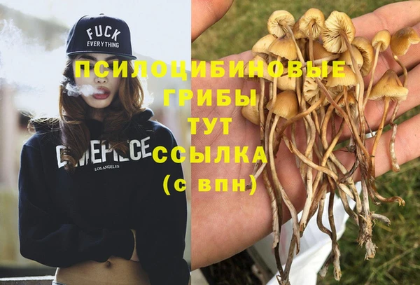 метамфетамин Няндома