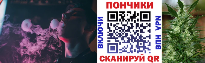 Бошки марихуана планчик  Купить закладки  Новоуральск 